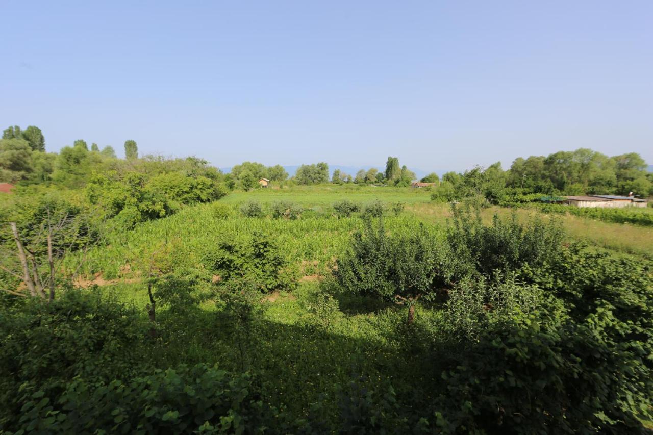 Villa Goriza Prestige أوهغيد المظهر الخارجي الصورة