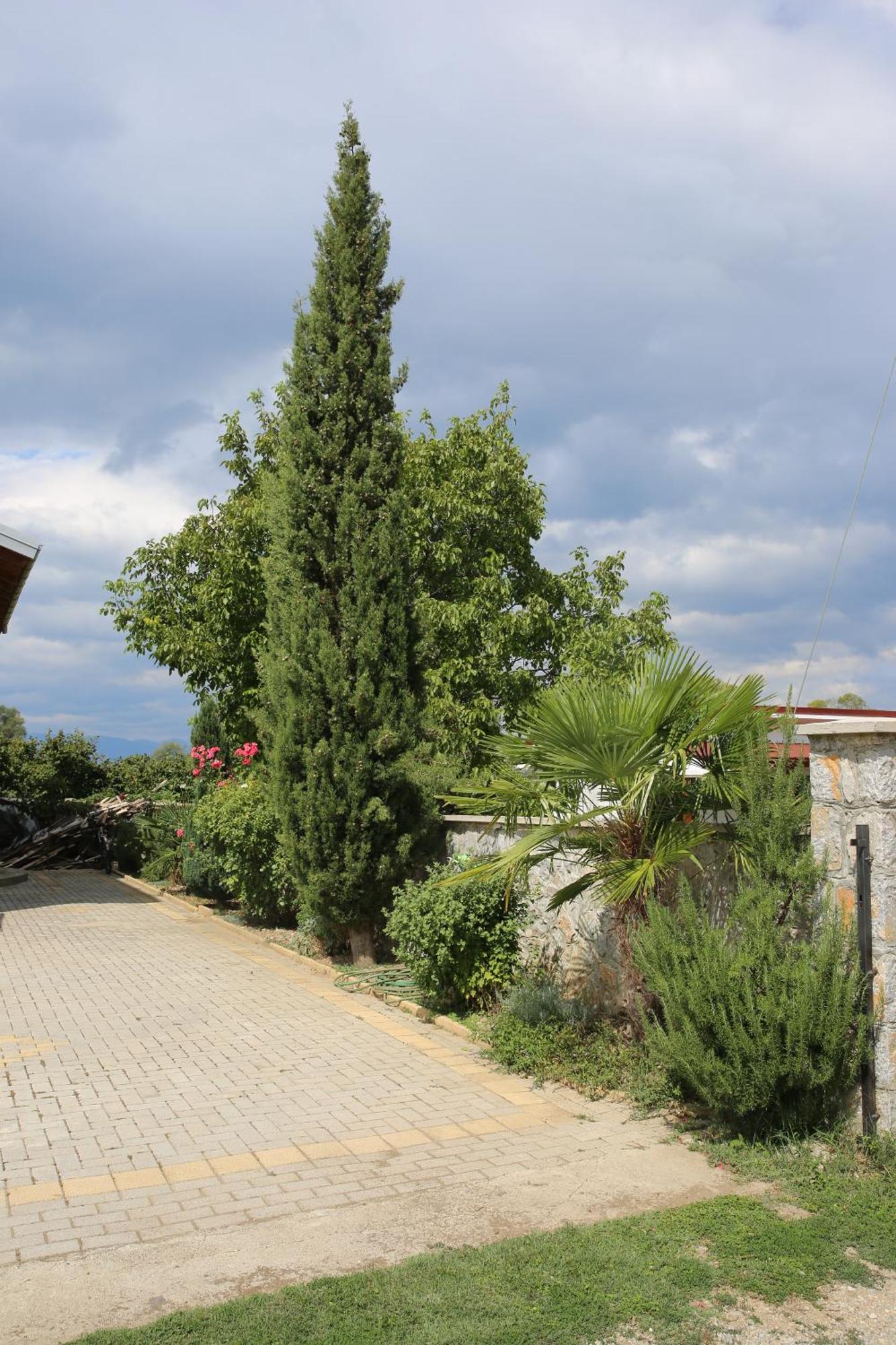 Villa Goriza Prestige أوهغيد المظهر الخارجي الصورة